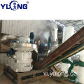 YULONG XGJ560 1.5-2TON / H Máy ép viên củi cây ô liu